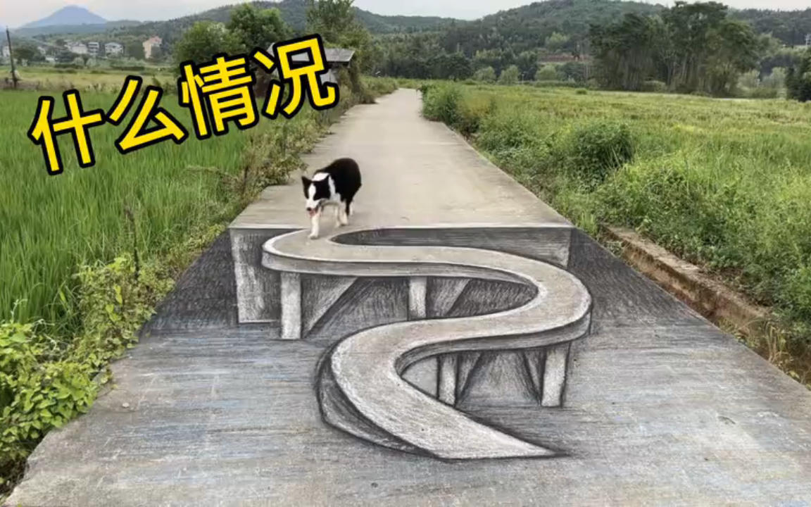 在马路上画条路,狗子看到会从路上过吗?哔哩哔哩bilibili