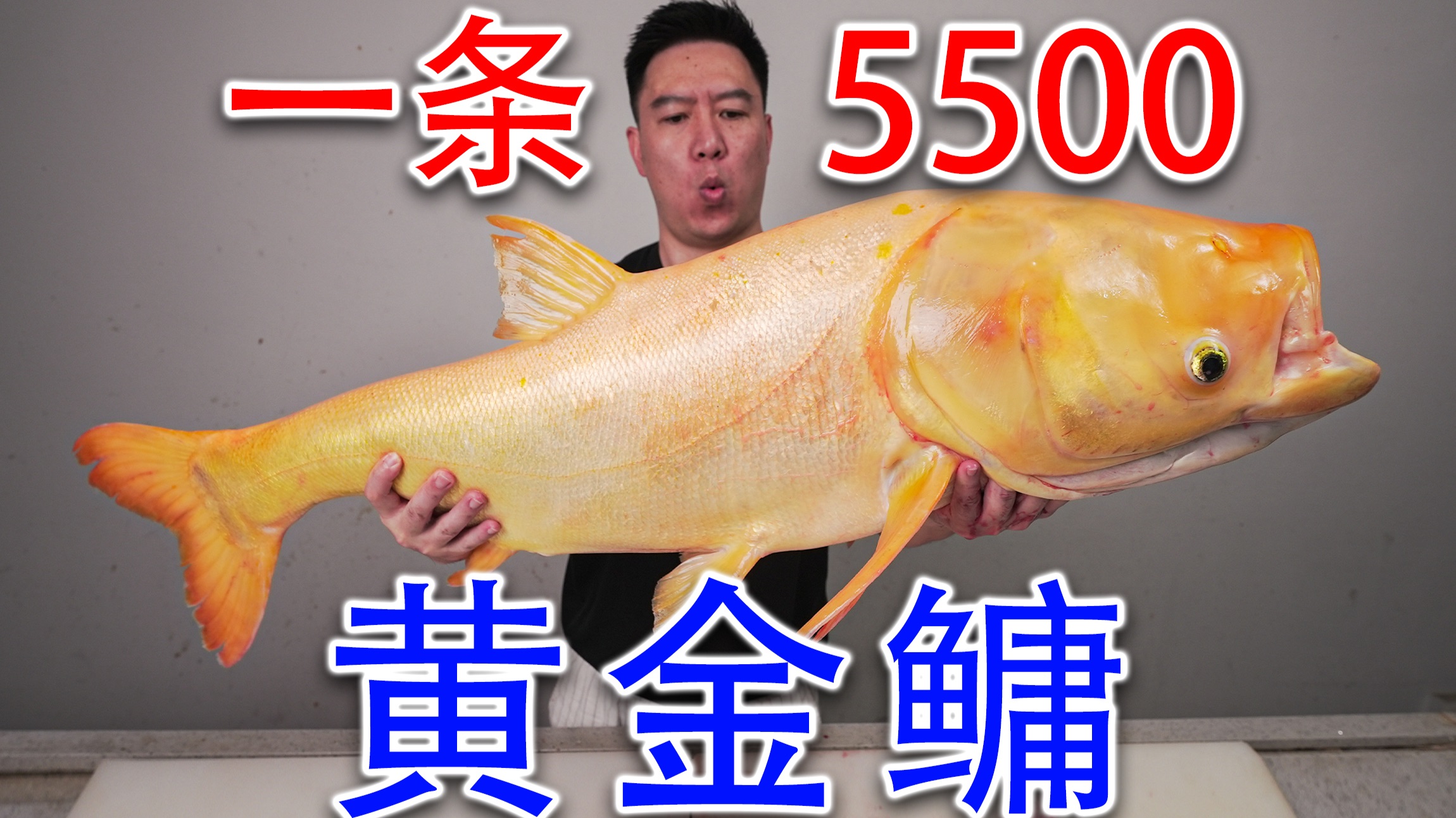 几十斤的金色大花鲢你们有见过吗？花5500买了