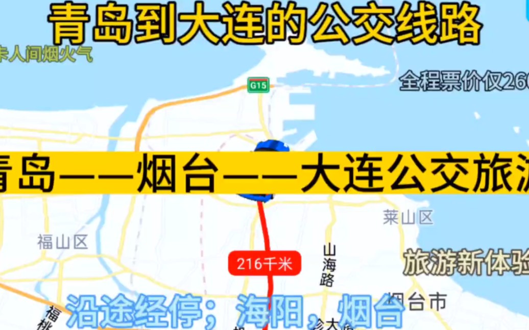 青岛到大连的公交线路来了,全程票价仅260元,沿途经过烟台哔哩哔哩bilibili