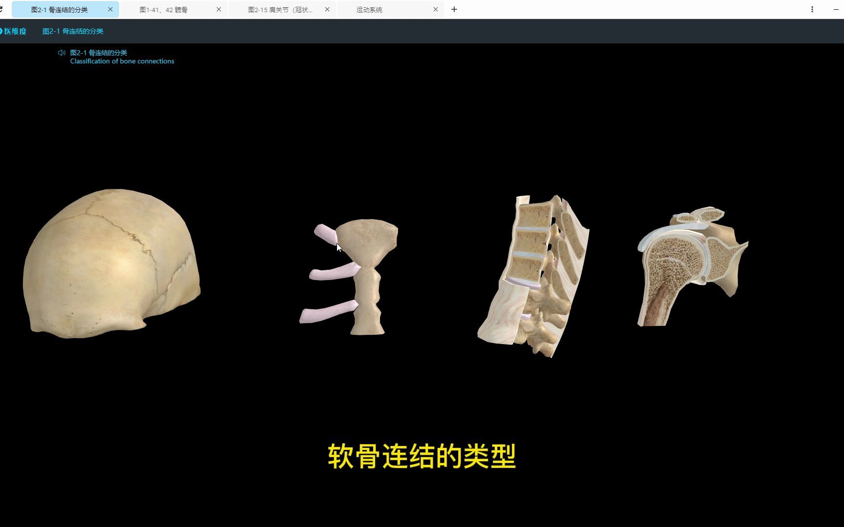 【医维度解剖app】骨连结哔哩哔哩bilibili