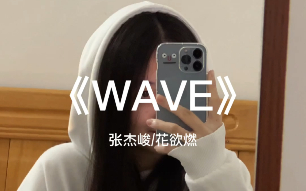 [图]look 别发呆！！夹子集中营｜浅夹一下翻唱《WAVE》