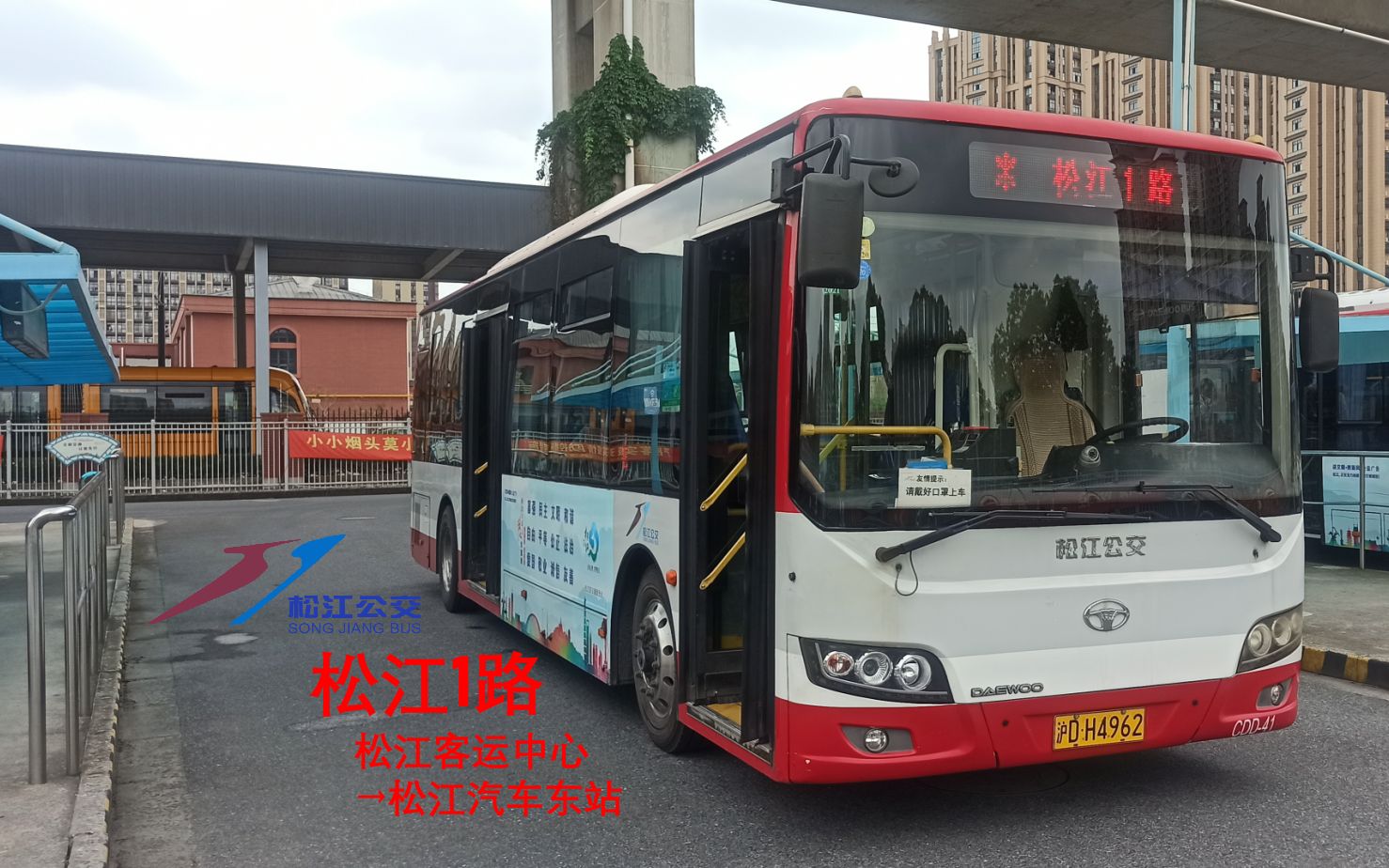 松江公交公司图片图片