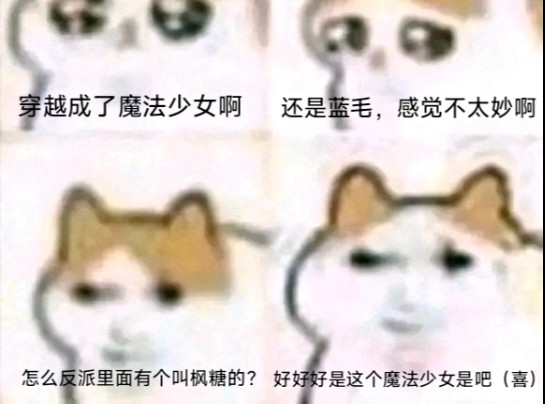 [图]并没有很大众化的猫猫穿越meme图合集