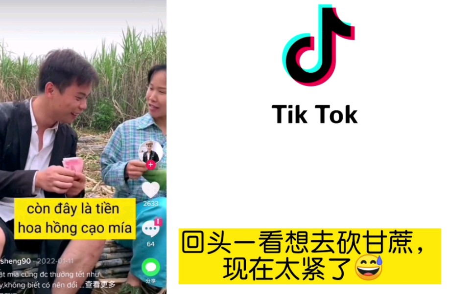 越南tiktok博主称,在中国砍甘蔗有工资,提成,年终奖,越南网友评论,想穷都难哔哩哔哩bilibili