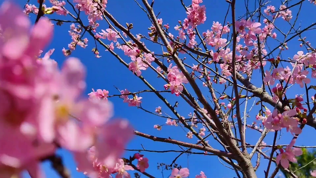 小米10s4k60帧直出