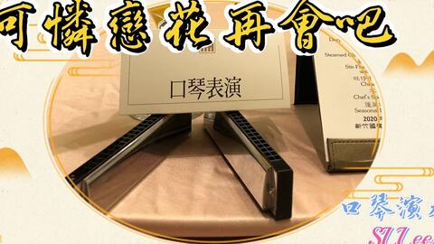 口琴演奏 可憐戀花再會吧 哔哩哔哩 Bilibili 口琴演奏 可憐戀花再會吧 哔哩哔哩 Bilibili