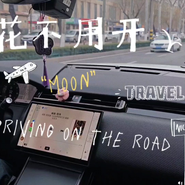 三八国际妇女节开车在路上沉浸式开车音乐分享桃花不用开Driving on the 