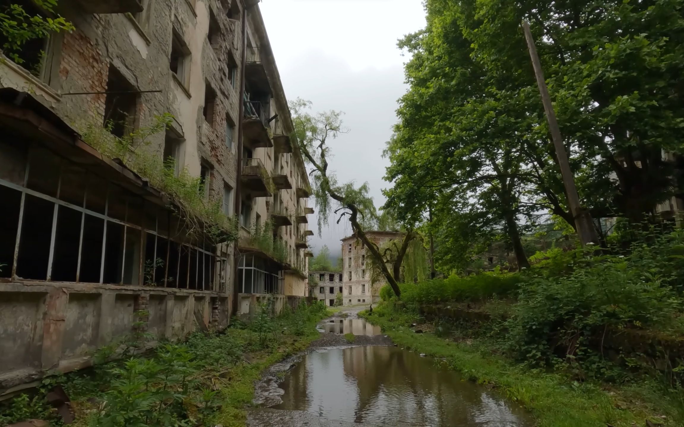 【纯视频】遗落秘境——阿布哈兹共和国(Abkhazia)格鲁吉亚/俄罗斯哔哩哔哩bilibili