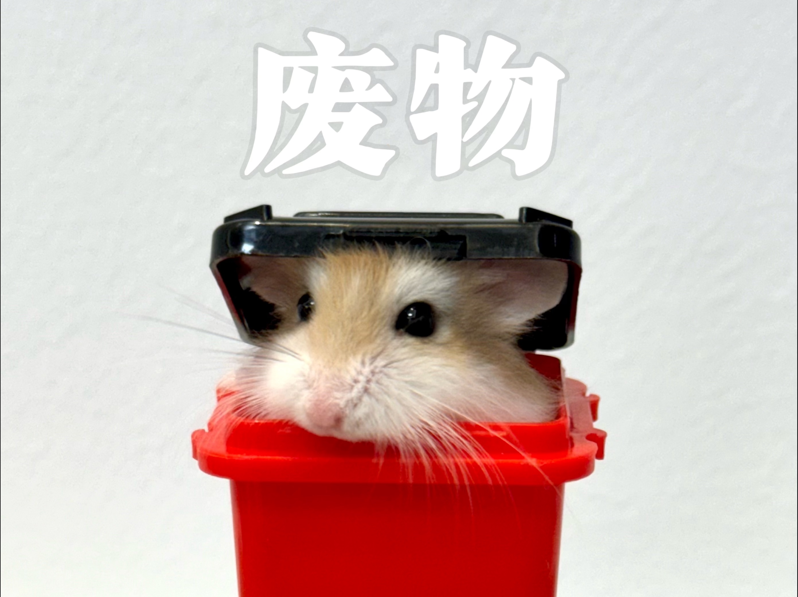 宝宝,你是废物,也是有害垃圾