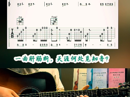 一曲肝肠断 天涯何处觅知音 琵琶语 吉他独奏谱哔哩哔哩bilibili