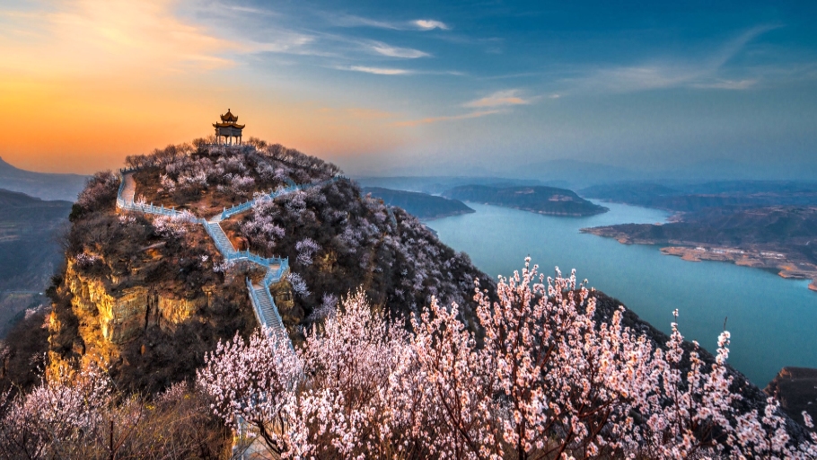 河南省新安县:紫荆仙山桃花开 春意盎然好风光