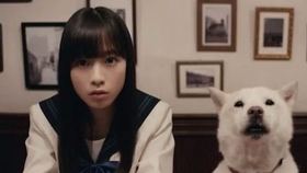 Softbank 白户家系列广告合集 51p注目 狗爸很萌的 哔哩哔哩 つロ干杯 Bilibili