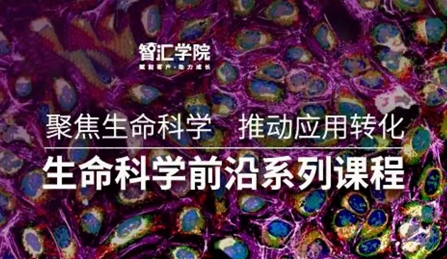 瑞孚迪生命科学前沿应用系列:PROTAC专题——案例解析1哔哩哔哩bilibili