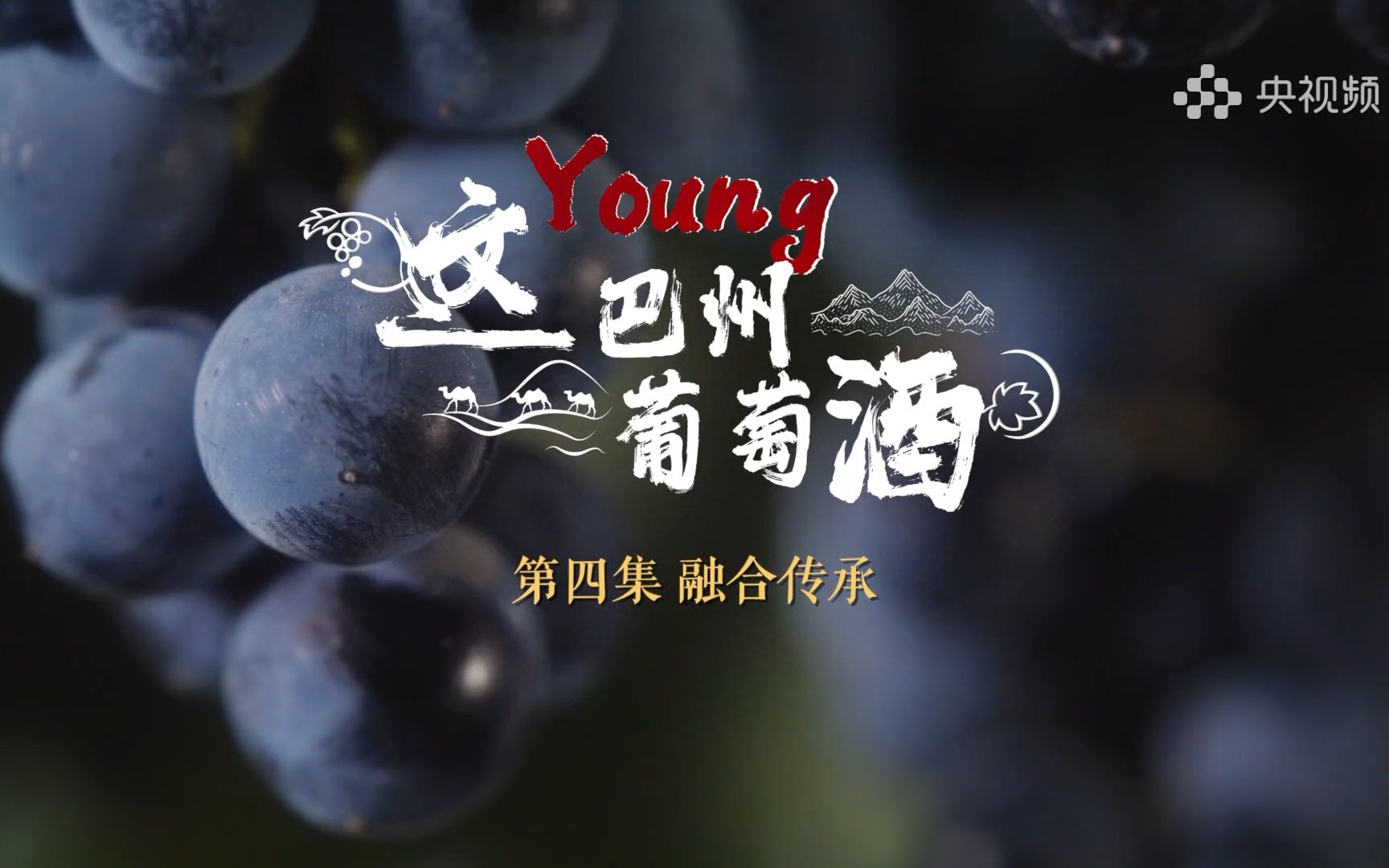 千载沉淀醉今朝,这young巴州葡萄酒晕开历史新印记哔哩哔哩bilibili