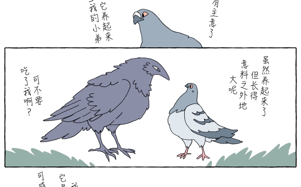 乌鸦×鸽子!