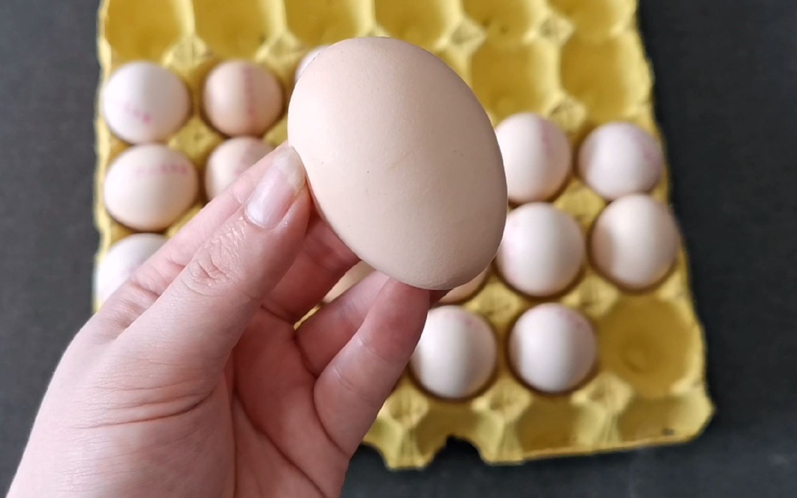 鸡蛋大头和小头要分清,10个人9人都弄错了,怪不得鸡蛋这么快坏