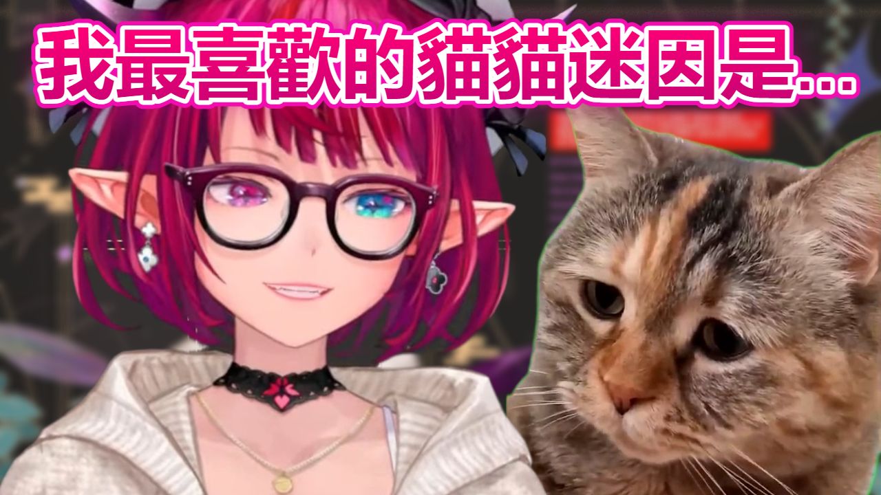 被阿火灌輸了貓貓迷因后的irys【irys】【hololive精華】