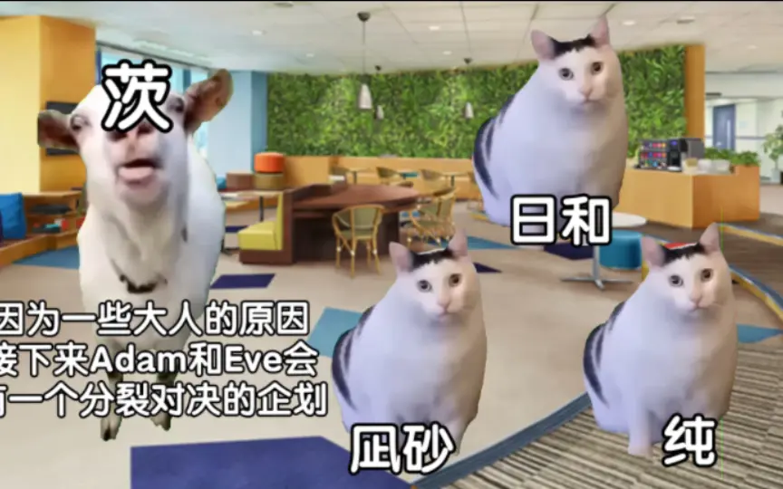 用猫MEME能看懂园一箱吗_哔哩哔哩_bilibili