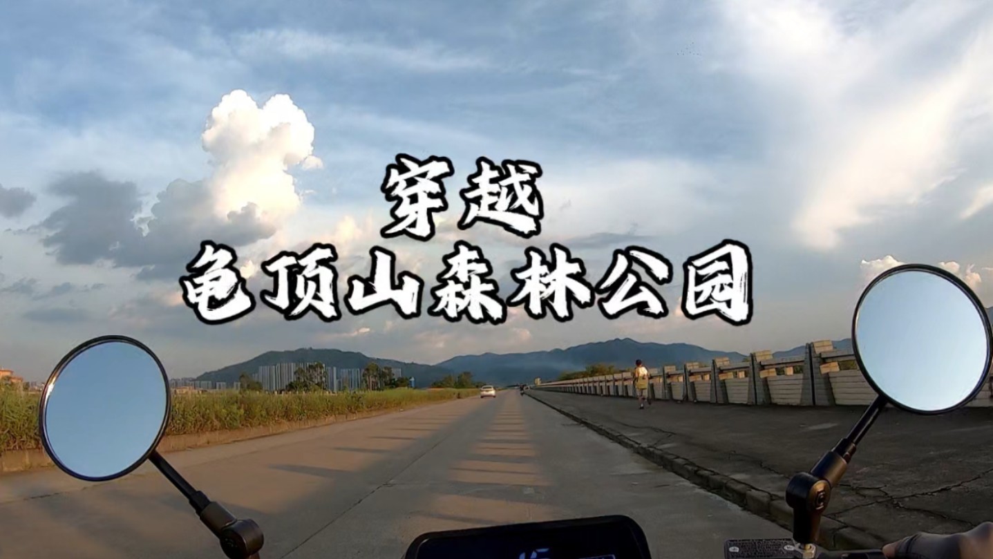 骑行穿越龟顶山森林公园，探寻山林间的隐秘