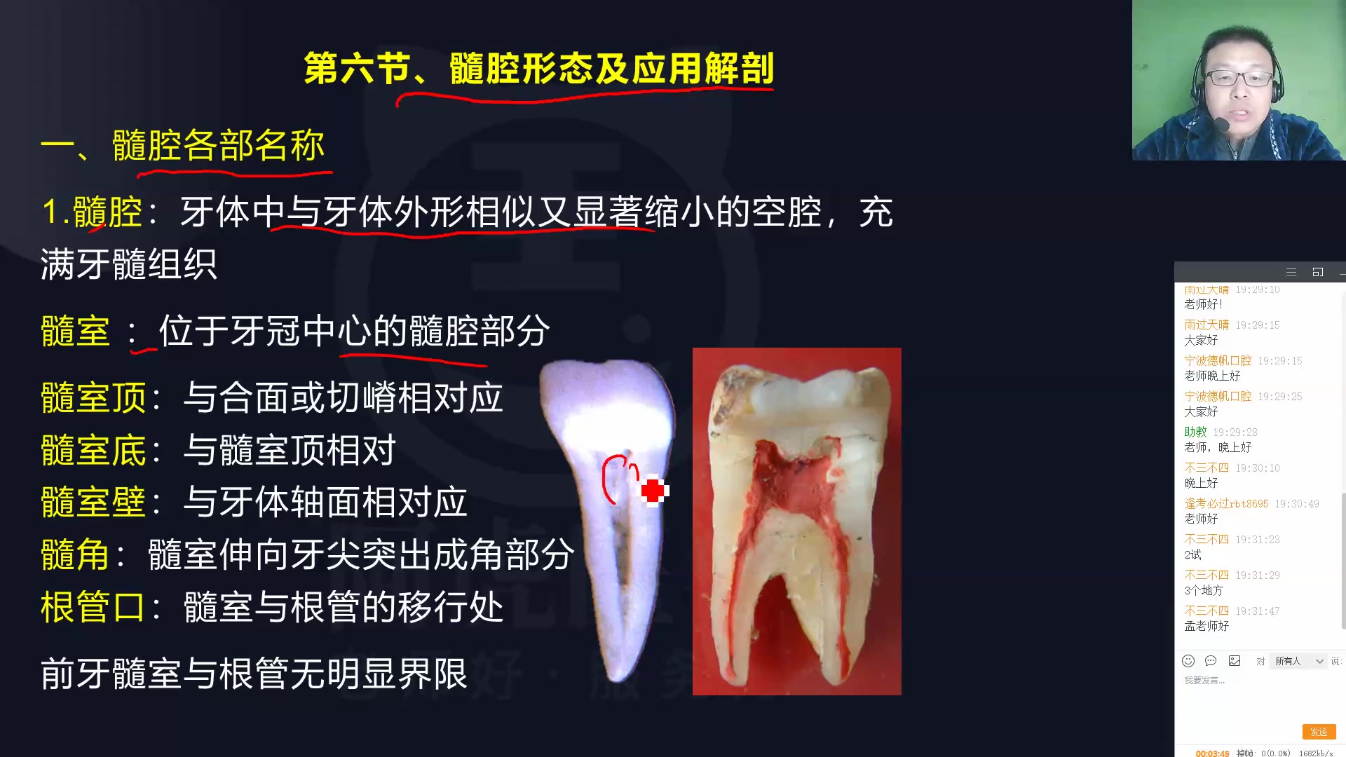 2022阿虎医考口腔执业(助理)医师考点精讲课口腔解剖生理学 讲课讲解考试辅导资料视频培训哔哩哔哩bilibili