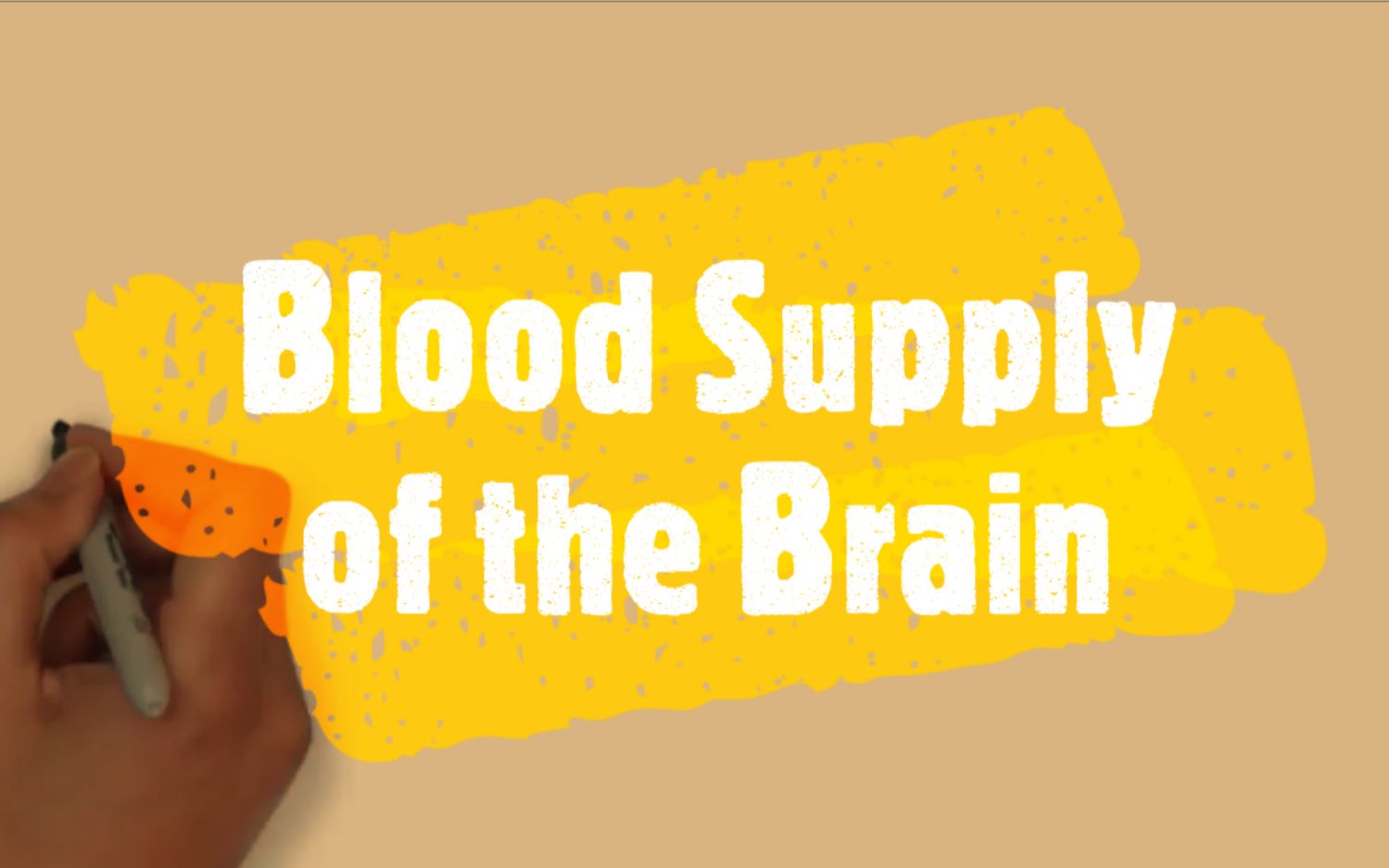 [图]【沟通科学】(中英) 两分钟神经科学：大脑血供 2-Minute Neuroscience: Blood Supply of the Brain