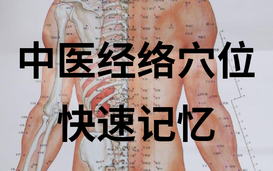 [图]轻松背诵十二经络 腧穴记忆 中医考研必背针灸歌诀【中医考研】手太阴肺经循行及腧 中医经络穴位全脑速记 十二正经，奇经八脉，全文背诵 手阳明大肠经循行及定位记忆