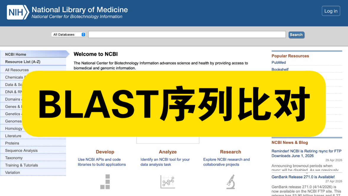 如何利用NCBI进行Blast序列比对?