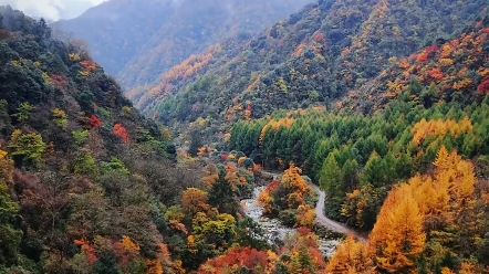 打开李子柒家乡的绵州大地(作者/王子轩)哔哩哔哩bilibili