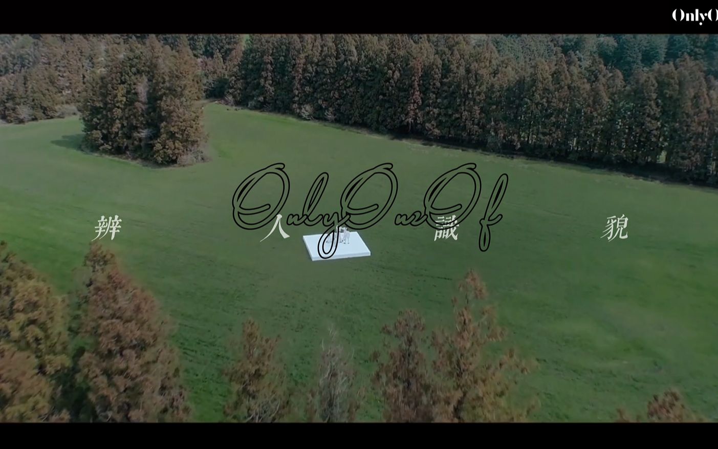 认人版《libido(性冲动)》mv|onlyoneof_哔哩哔哩_bilibili