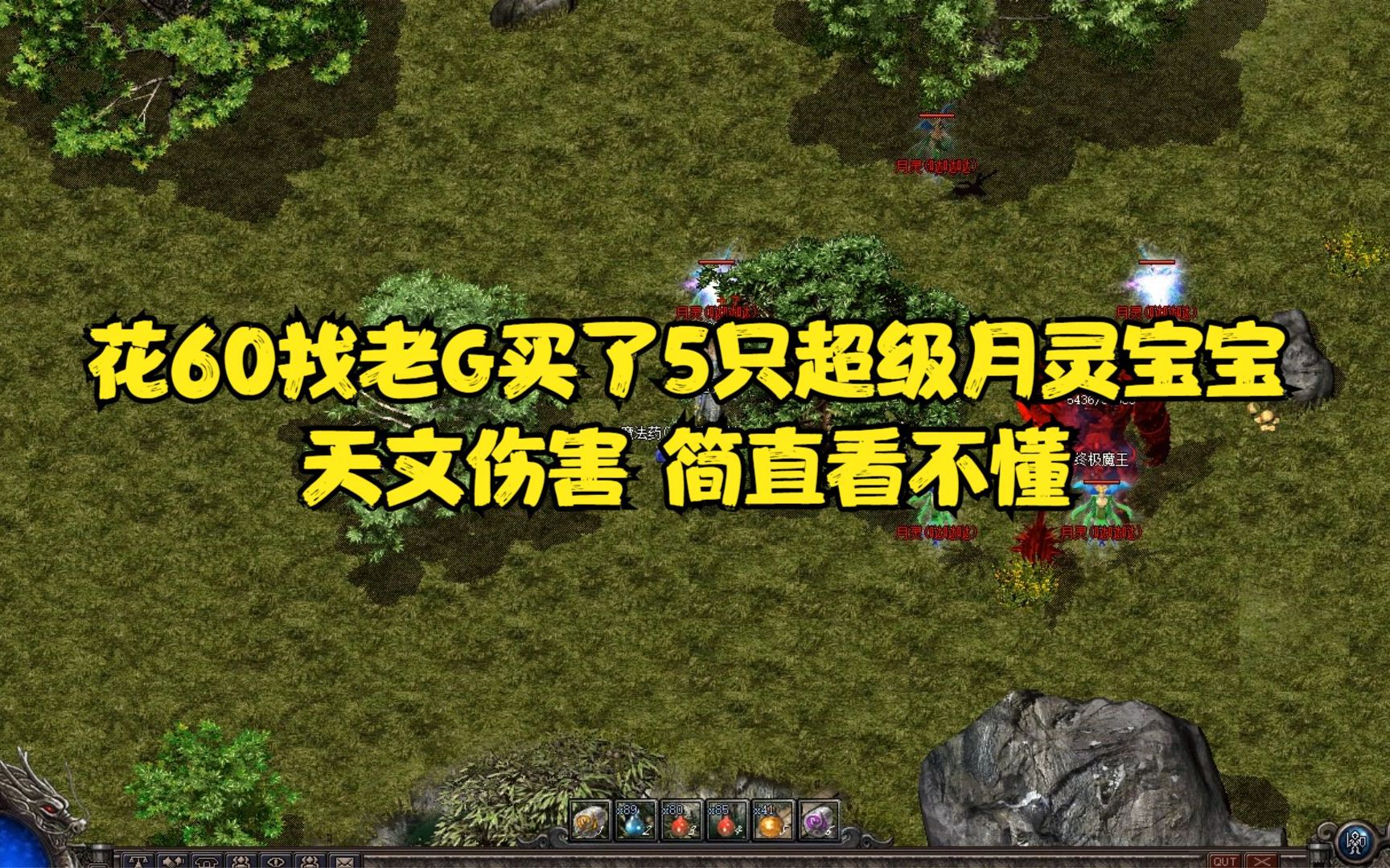 热血传奇:花60找老g买了5只超级月灵宝宝,天文伤害,简直看不懂