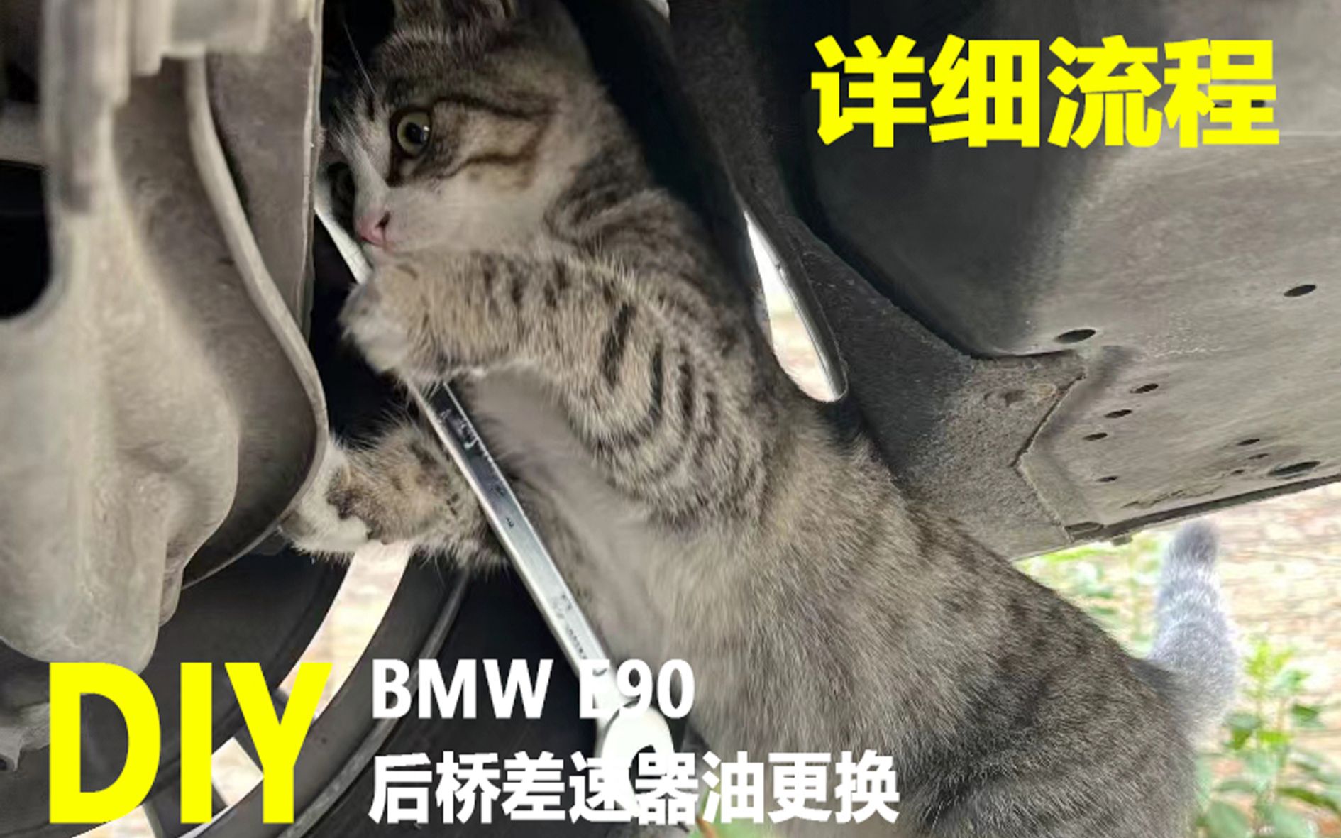 BMW宝马E90 更换后桥差速器油哔哩哔哩bilibili