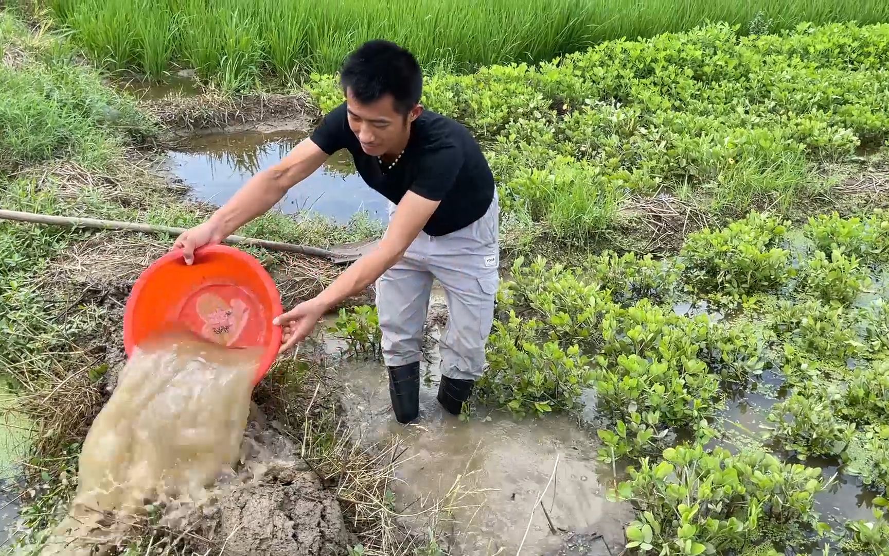 河南遭遇暴雨,小伙为家乡捐款尽绵薄之力,媳妇在旁很支持哔哩哔哩bilibili