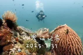 2025.7.31OW考证记录学生：Djay教练：火山By 初潜潜水