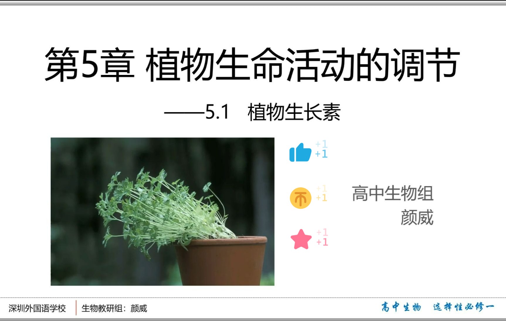 【人教版高中生物选择性必修一】5.1.2植物生长素,生长素合成、运输和分布,以及生长素的作用特点.补充很多内容,还有实验设计!一定要认真看到最后...