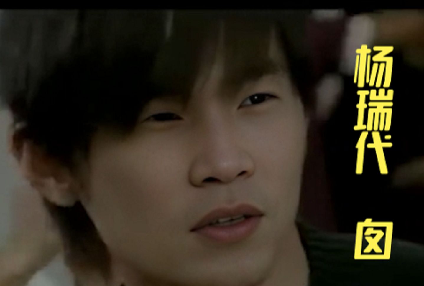 杨瑞代 囱 mv