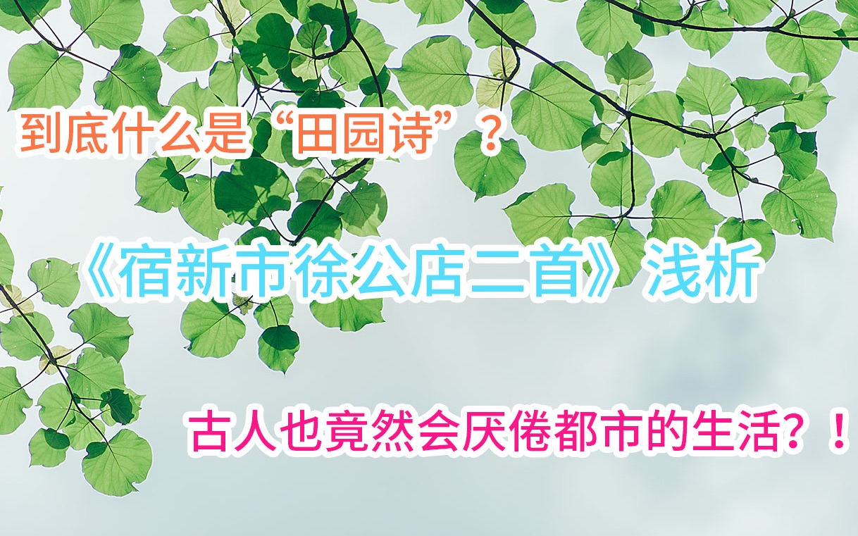 小学古诗词《宿新市徐公店二首》其二浅析哔哩哔哩bilibili