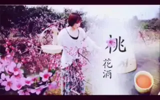 李子柒桃花酒 哔哩哔哩 Bilibili
