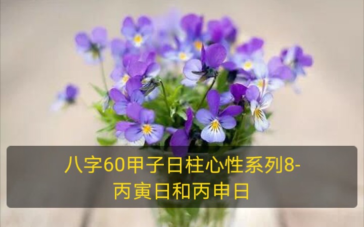 八字60甲子日柱心性系列8丙寅日和丙申日哔哩哔哩bilibili