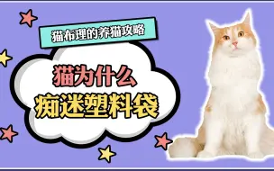 Video herunterladen: 猫咪为什么痴迷塑料袋？