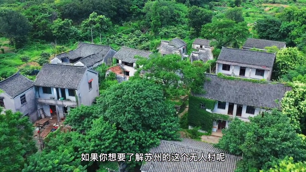 江苏苏州发现一个"无人村",环境太舒服了