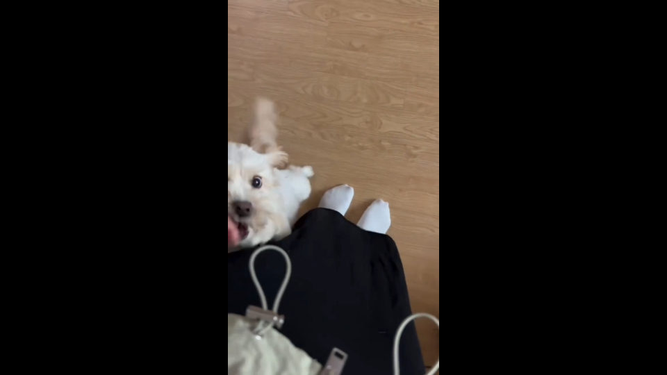 人 你终于回来啦！