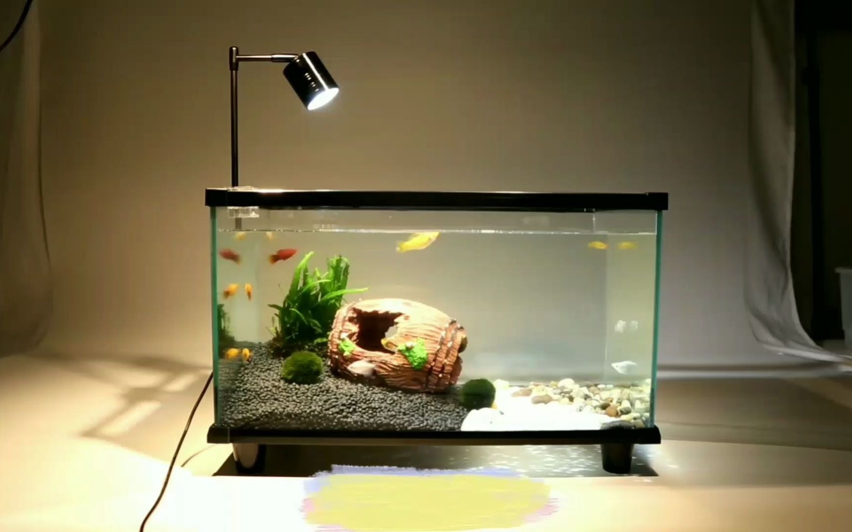 造景好的鱼缸就是漂亮!养鱼必备!