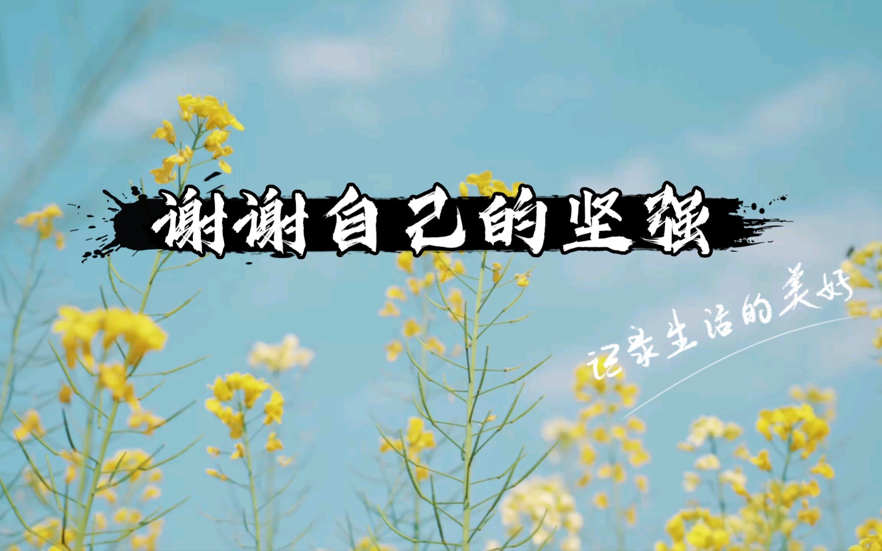 活动作品语录谢谢自己