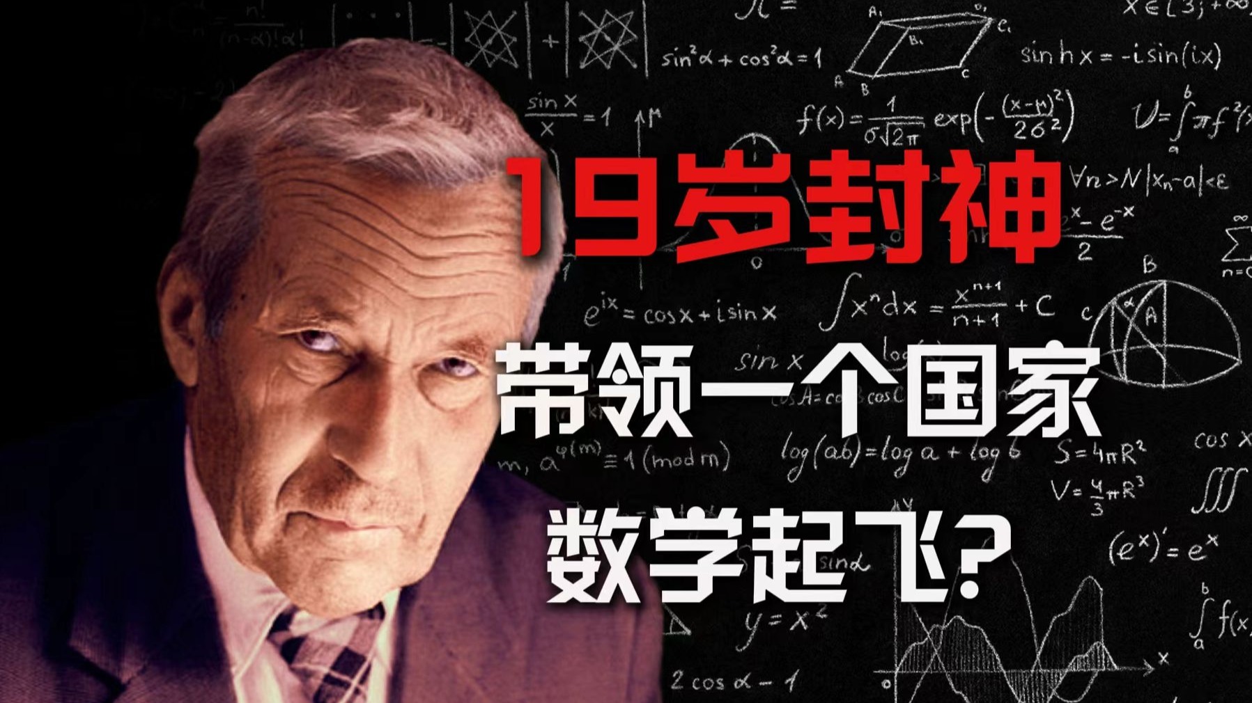 19 岁掀翻数学界,67个学生14个院士,带领一个国家起飞!-天才简史-天才简史-哔哩哔哩视频