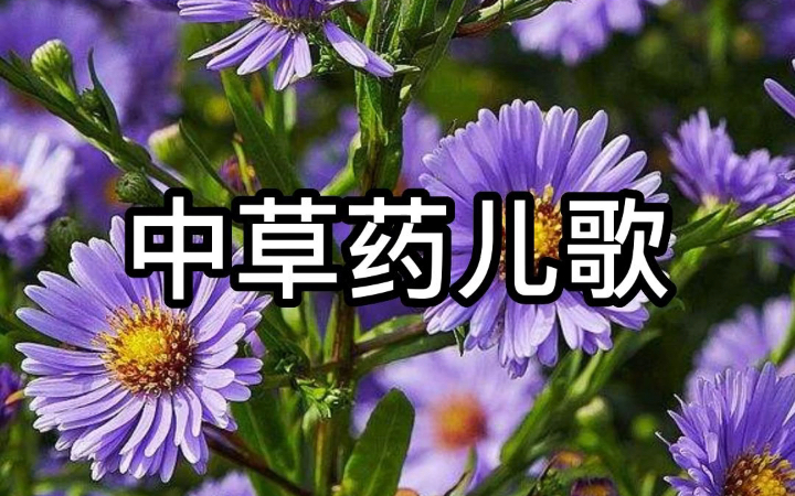 [图]中草药儿歌，中医传承从祖国的花朵抓起