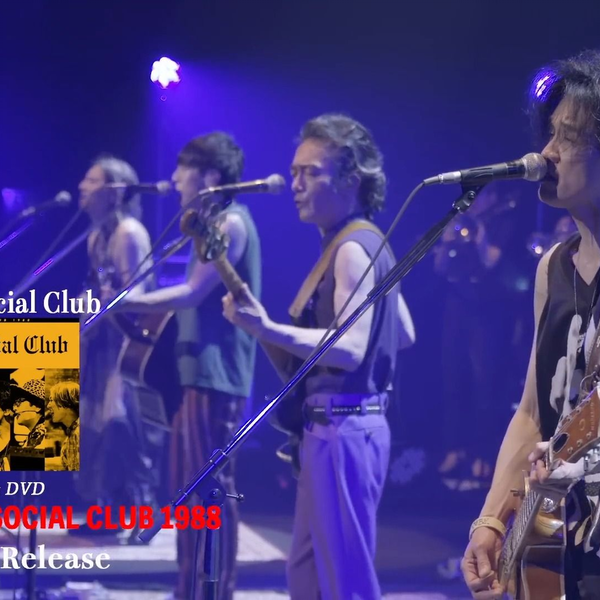 ROCKON SOCIAL CLUB 1988」LIVE DVD 未開封-