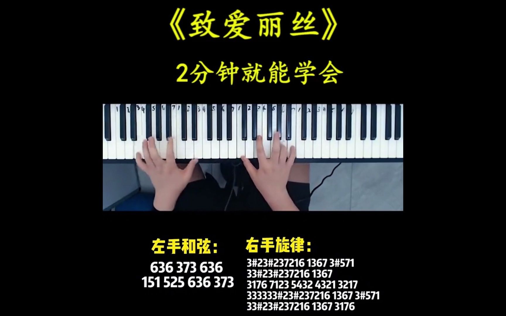 致爱丽丝钢琴教学视频图片