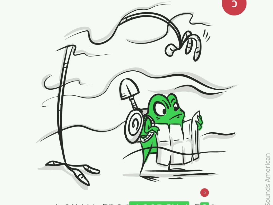 雾中迷路的小青蛙 - 包含 00 音的助记短语a small frog lost in a
