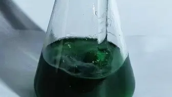 [化学实验]铜代叶绿素的合成