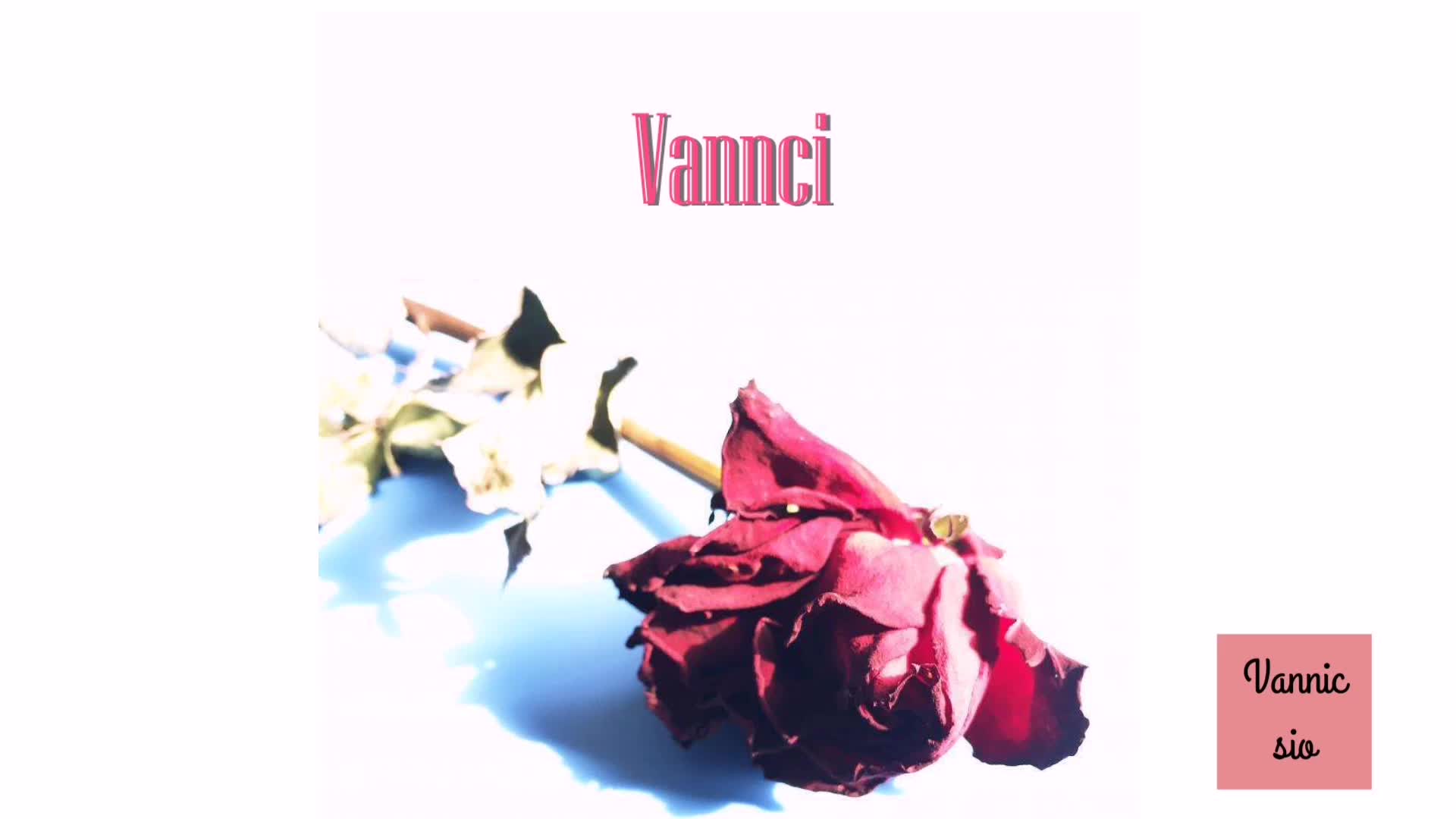 vancci—西奥